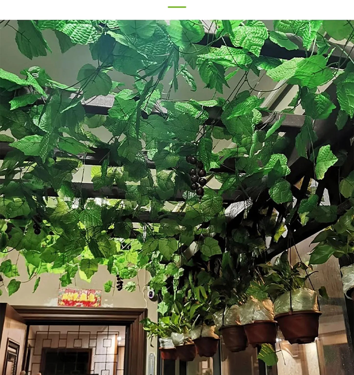 Vine Decor